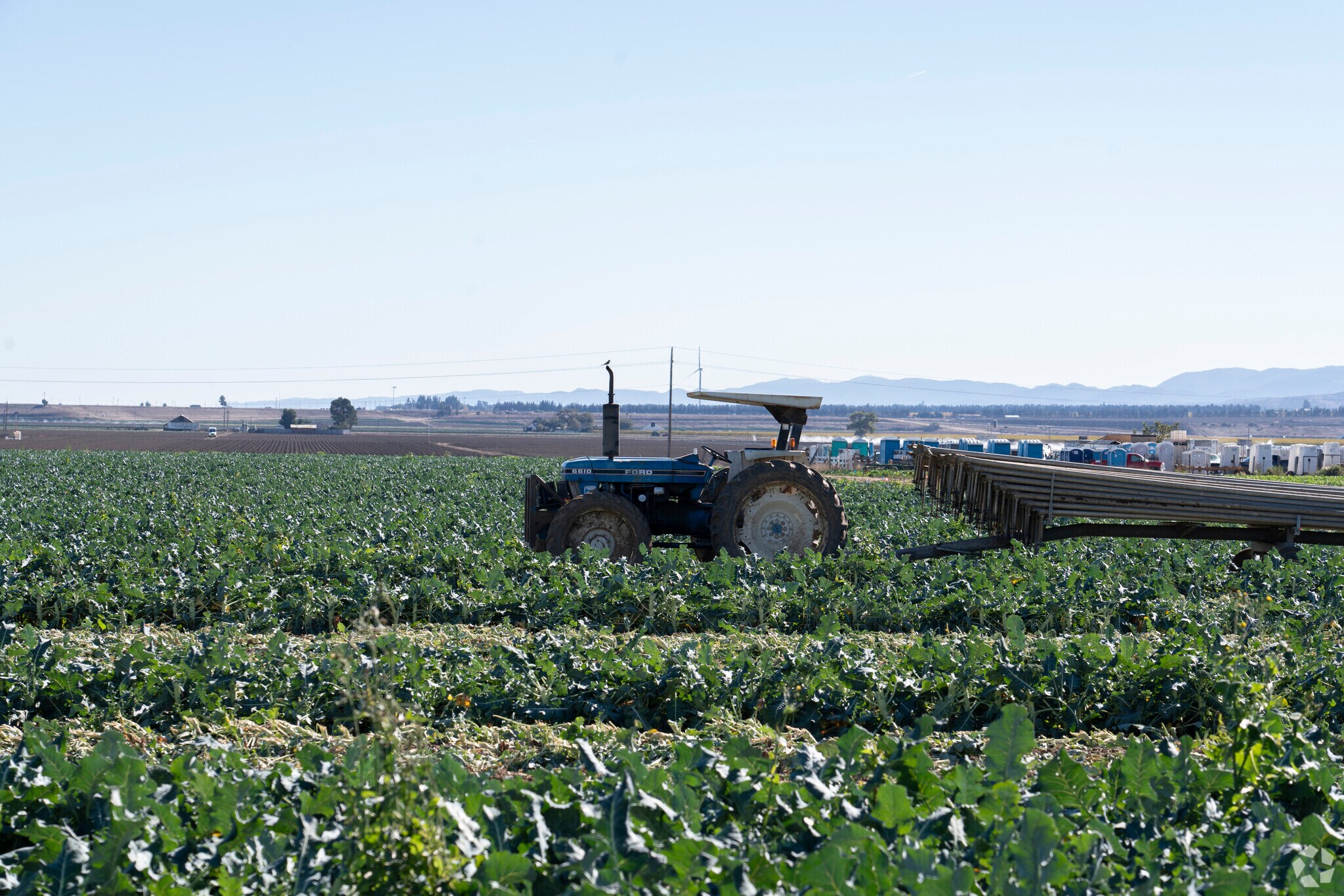 Greenfield, California has a lot of agriculture land surrounding the city.