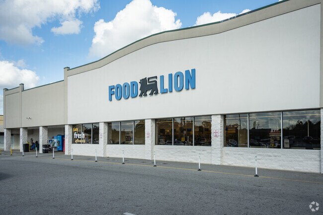 There is a Food Lion conveniently located near the Youngs Mill neighborhood.