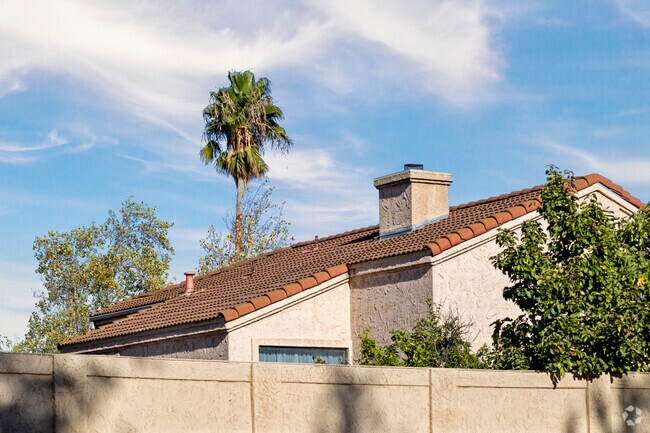 Beautiful palm trees tower over the homes in River Run.