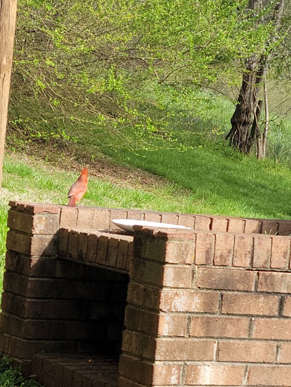 885 Rural Hall-Germanton Rd, Rural Hall, NC 27045 - photo 2