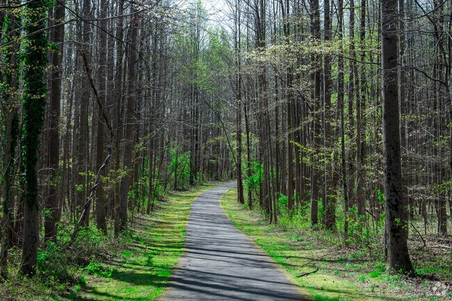 A scenic woodland path cuts through Walker Mill Regional Park near District Heights.