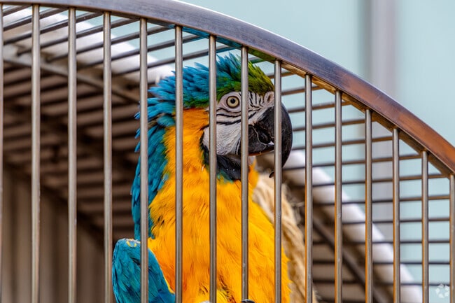 Plumstead locals visit animals and scenery at Bucks County Gardens.