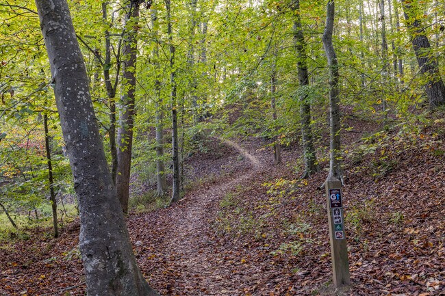 Hike along the scenic Bull Run Occoquan Trail in Buckhall.