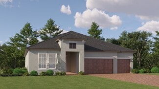 11233 Banyan Breeze Blvd Unit 36039345, Land O' Lakes, FL 34638