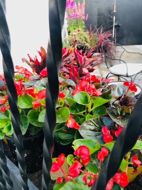 1746 W 71st St unit 1746.1, Los Angeles, CA 90047 - photo 5