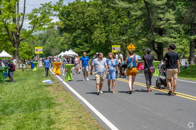 Check out the annual Sligo Creek Fest along the river in Kemp Mill.