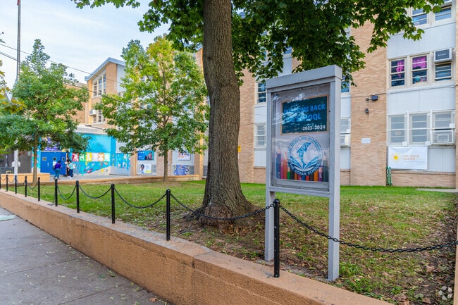 A vibrant setting for learning in nature's canopy.