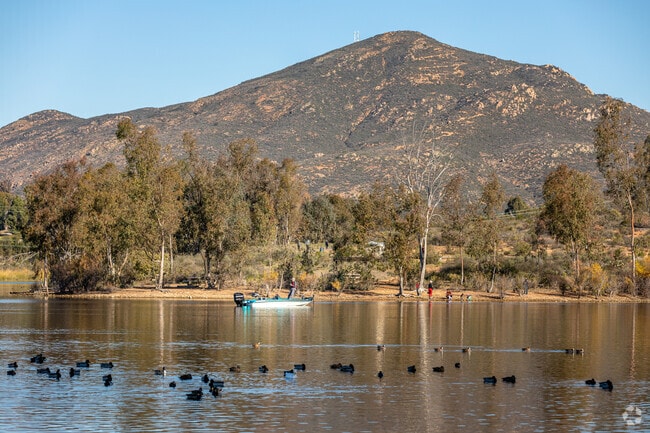 Birds soar as someone boats to fish near Cowles Mountain.