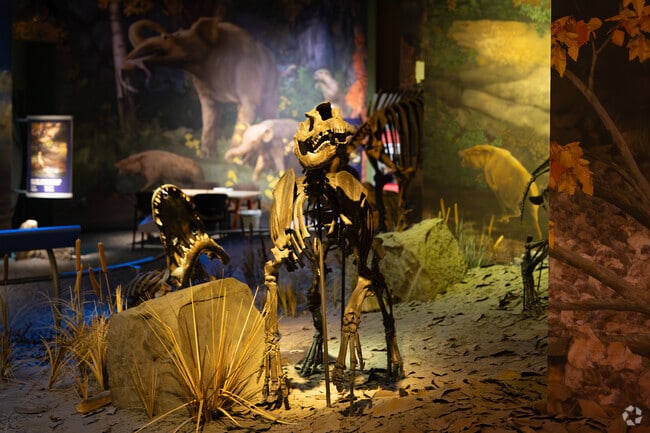 Gray residents enjoy Gray Fossil Site and Museum for seasonal digs and fossil discovery.