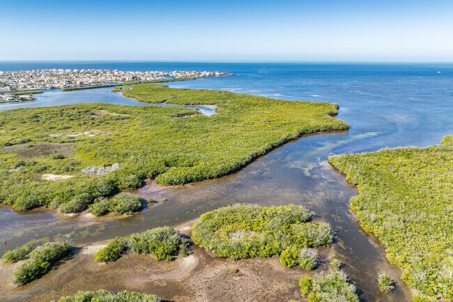 Robert Crown Wilderness are in New Port Richey West is great for bird watching form a boat.
