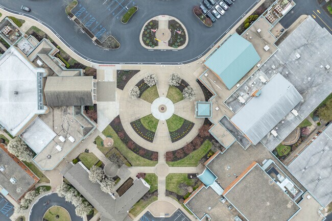 Immaculate Heart Of Mary