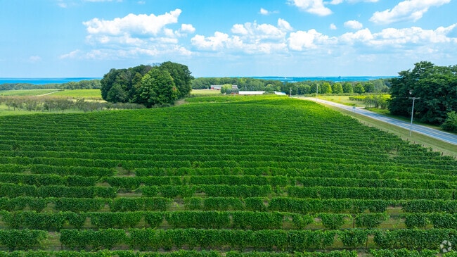 Farm buildings and grapevines overlook Grand Traverse Bay on a sunny day in northern Michigan.