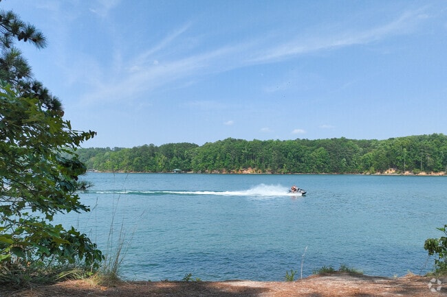 Sugar Hill buzzes with various water activities at Lake Lanier.