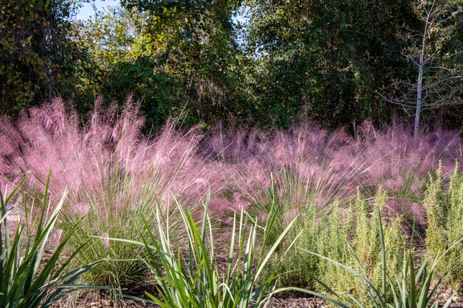 Lovely pink flora lines the entrance to the Debbie Lightsey Nature Park in West Tallahassee.