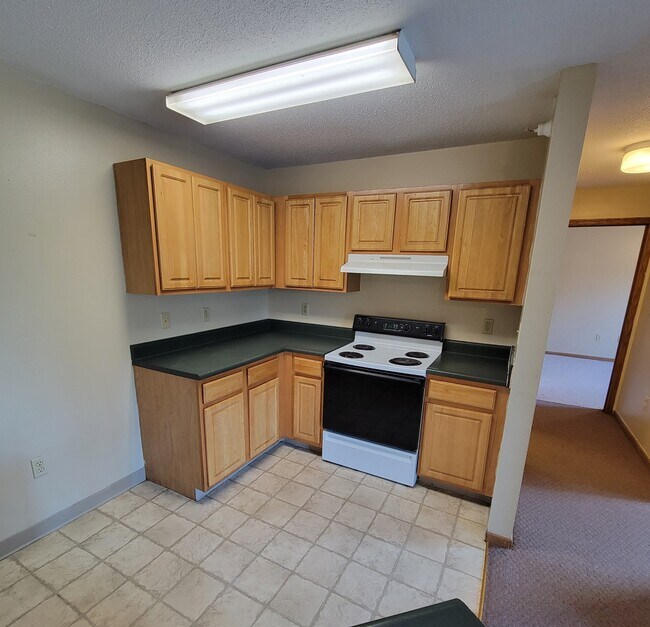 The Meadows Apartments, Oelwein, IA 50662 - photo 2