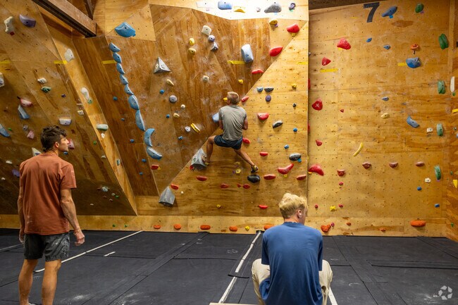 Stonetree Climbing Center is open to all ages.
