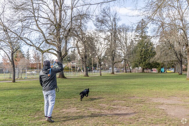 Clinton City Park within South Tabor itself is a frequent go-to for some laidback fun.