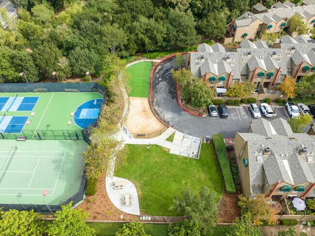 Dog Park Aerial
