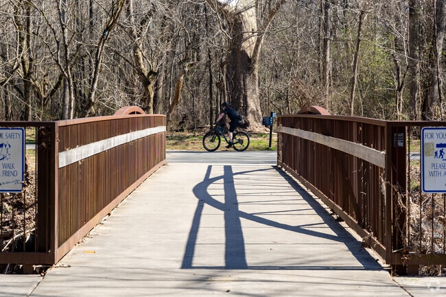 Cyclists pedal through scenic paths, embracing freedom in East Forest.