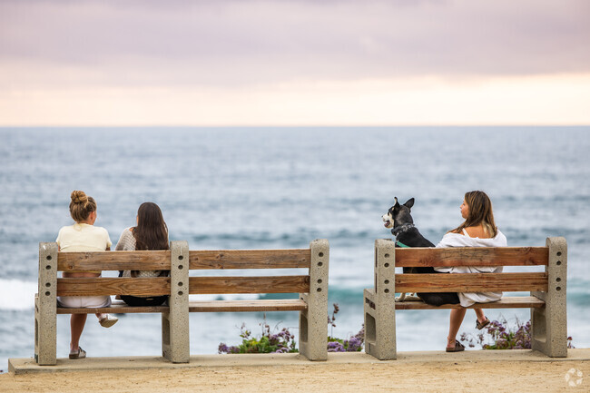 Windansea Beach is a great place to take your dog and look at the ocean.