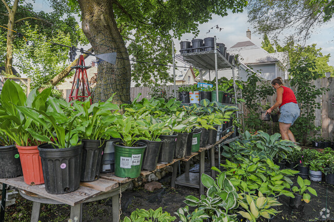 The Black Hills area is home to some local gardens, offering a variety of flowers and plants.