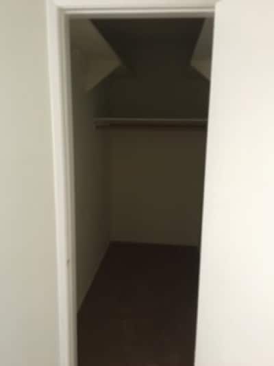 Closet under Stairs
