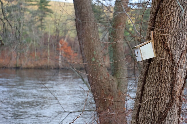 Merrimack River Park near The North End is filled with little hidden bird houses.