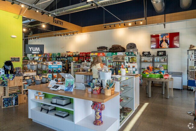 Bone-ito is a one-stop-shop for all of residents' dog needs in Bartley Ranch.