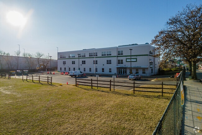 Cedar Tree Academy Public Charter School