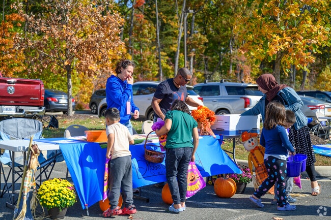 The Fall Festival in Lake Ridge helps foster a sense of community among residents.