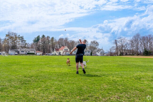 A man plays fetch with his dogs on Holmes Field in Hamilton.