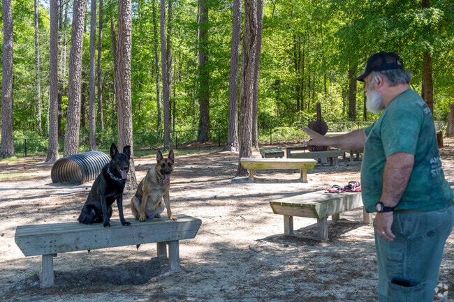 A man training his two dogs in Centerville, Georgia.