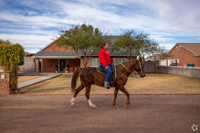 Horse lovers unite in Mesa Patios, where the riding community thrives.