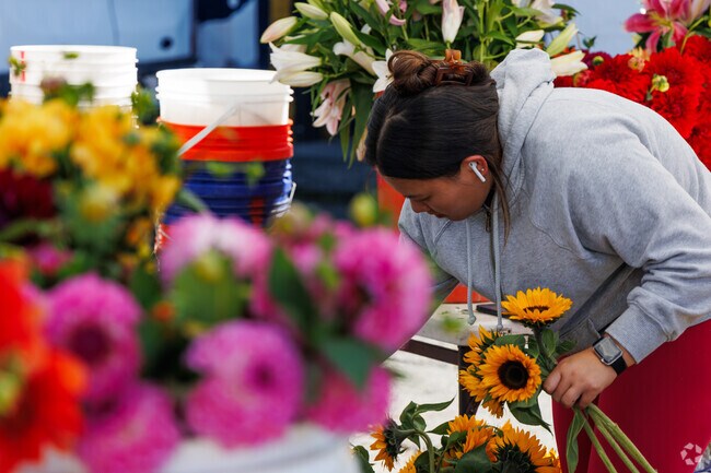 Fresh produce and local goods fill Edmonds Bowl at the Saturday Farmers Market.