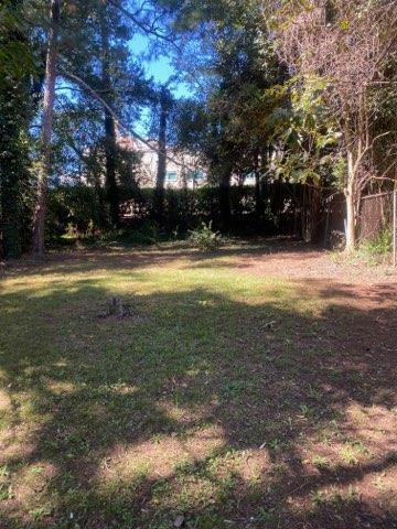 252 Magnolia St, Athens, GA 30606 - photo 3