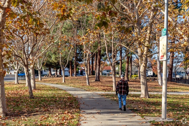 Berryessa Creek Park offers shady walking paths close to the Morrill neighborhood.