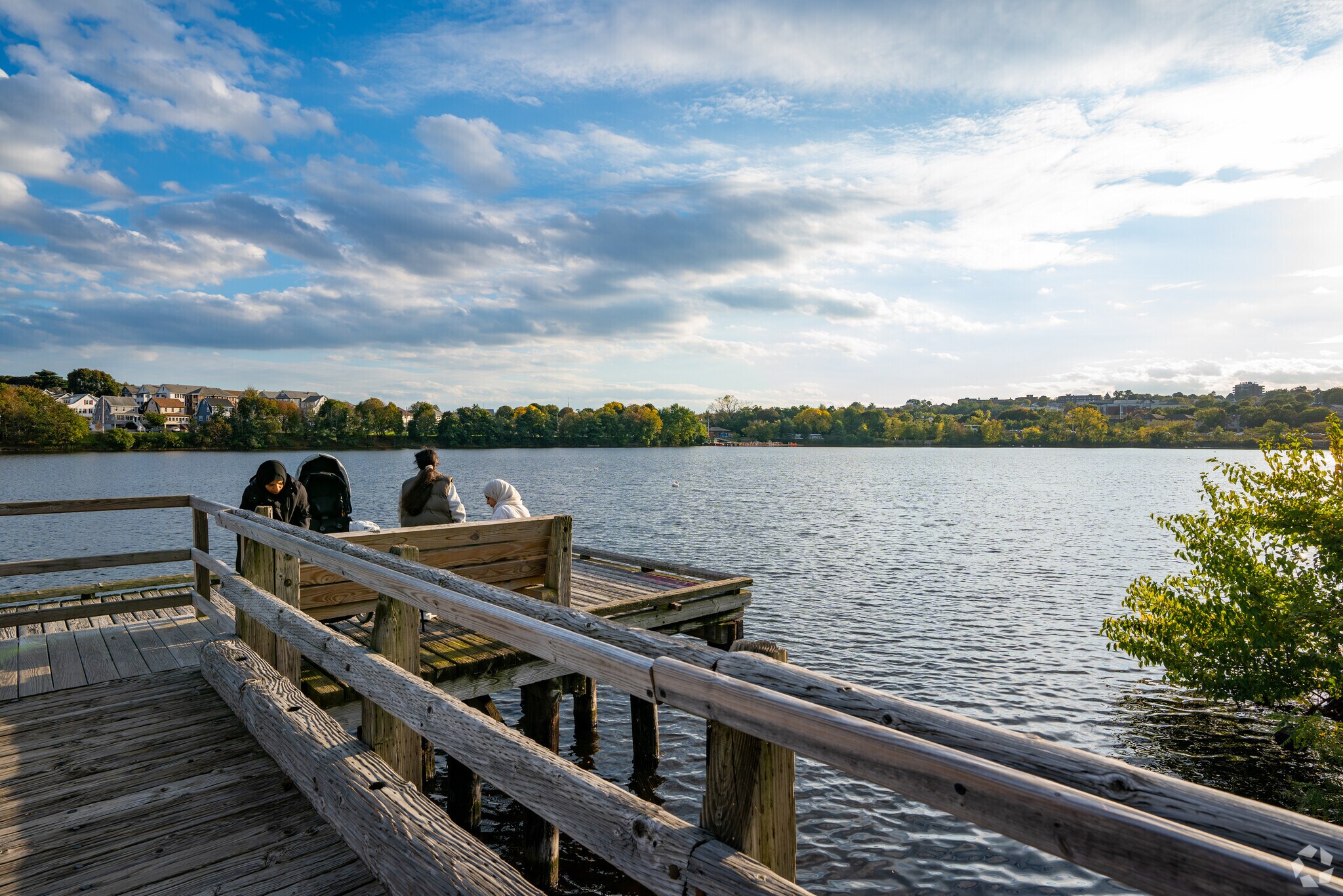 Residents of Wellington like to visit this dock in Macdonald Park to feel right on the river.