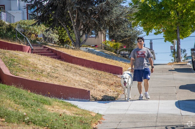 Ivy Hill is a dog friendly neighborhood.