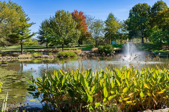 Beautiful green plants and trees surround the pond at Tiemeyer Park in St. Ann.