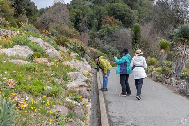The UC Berkeley Botanic Gardens are on the border of Panoramic Hills and popular for walking.
