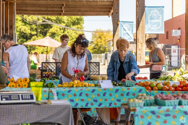 Shoppers browse the options of local produce at the Lakeside Farmers Market.