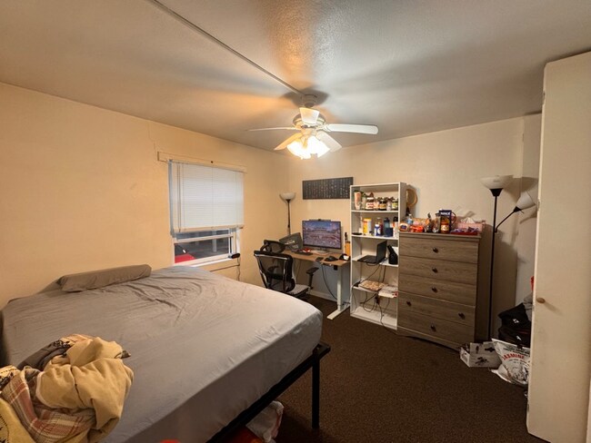 101 N Busey Ave unit 6, Urbana, IL 61801 - photo 4