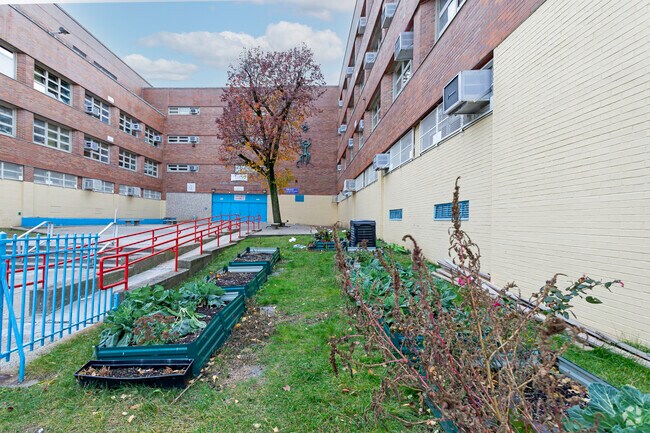 Bronx Latin School where children are taught to grow healthy food alternatives.