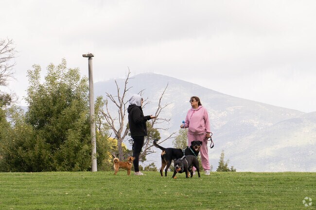 You can walk your dog on the hilly parks and see the mountains in Skyline.