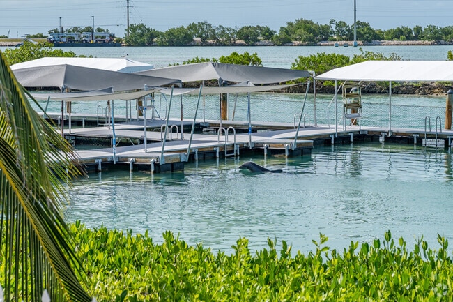 Hawks Cay resort offers a dolphin encounter in Duck Key.