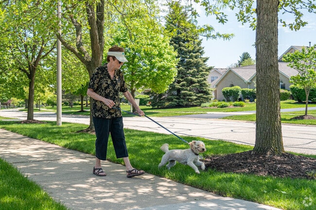A Brighton Ridge resident walks her dog on one of Naperville's tree-lined streets.