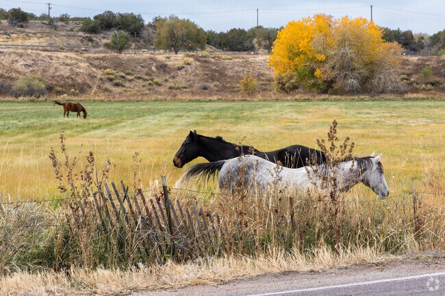 The open space in Lincoln Park is perfect for horse owners.