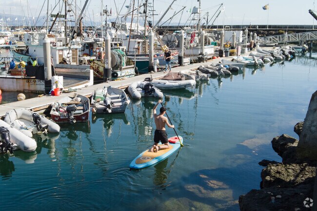 Paddle boarding is a hot sports at Santa Barbara Harbor near Lower West.