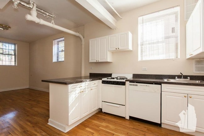 1101 W Wellington Ave unit 1103-3, Chicago, IL 60657 - photo 5