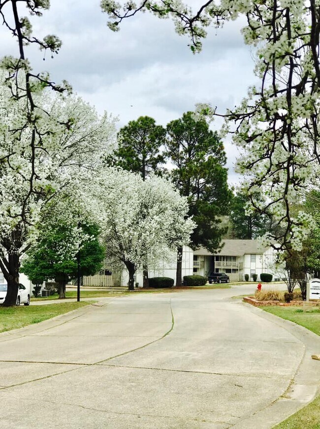 El Dorado AR Homes for Rent